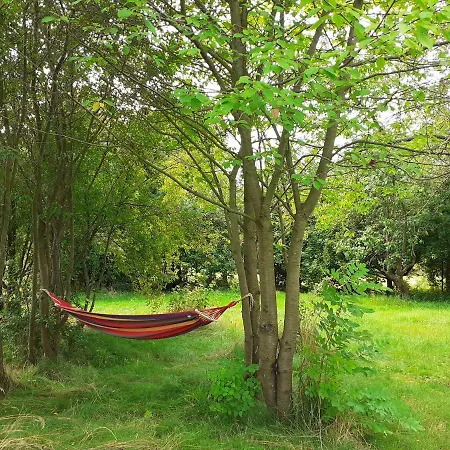 אכסניה Kiszkowianka